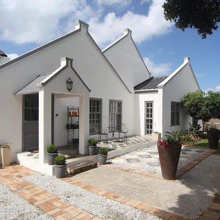 The Lily House Hotell Hermanus Eksteriør bilde
